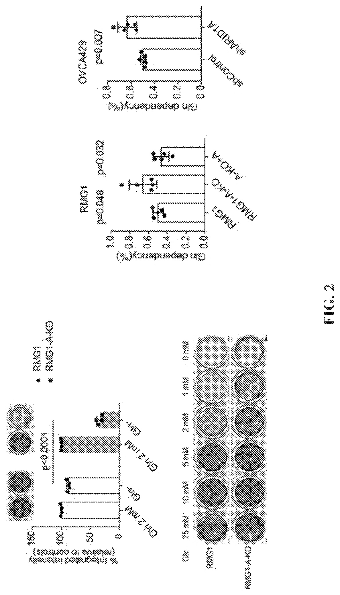 Methods for the treatment of arid1a-deficient cancers