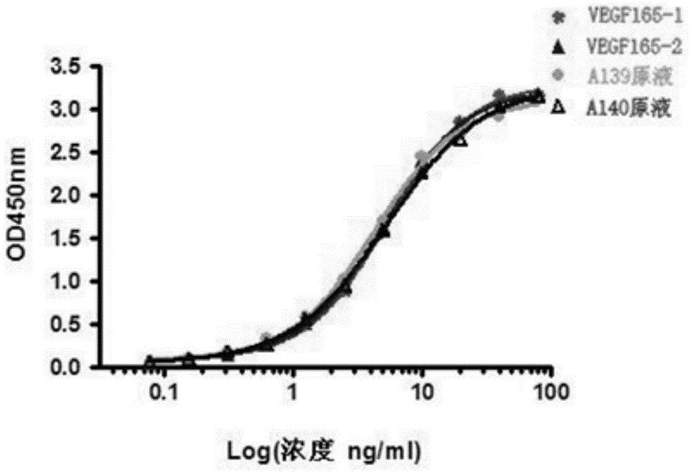 A completely humanized anti-VEGFR-2 monoclonal antibody and a preparing method thereof