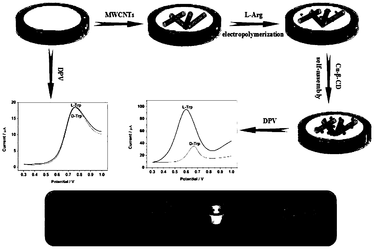 Chiral sensor based on copper ion modified cyclodextrin/polyarginine/carbon nanotube and its preparation method