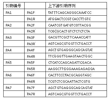 Group of microsatellite primers for diversity analysis of early blight pathogen alternaria solani