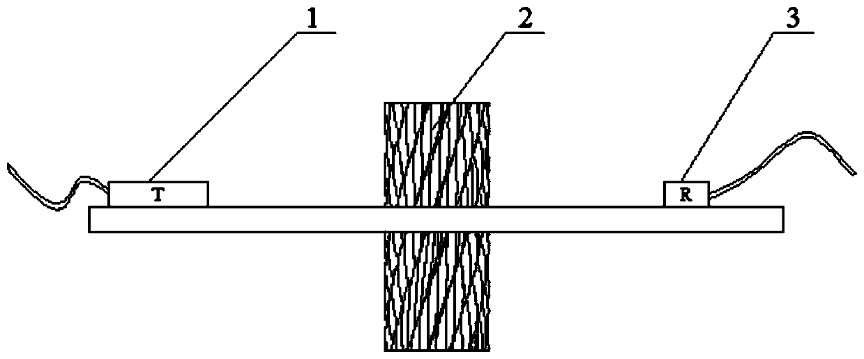 A method for monitoring the speed of hoisting ropes in a rope hoisting system