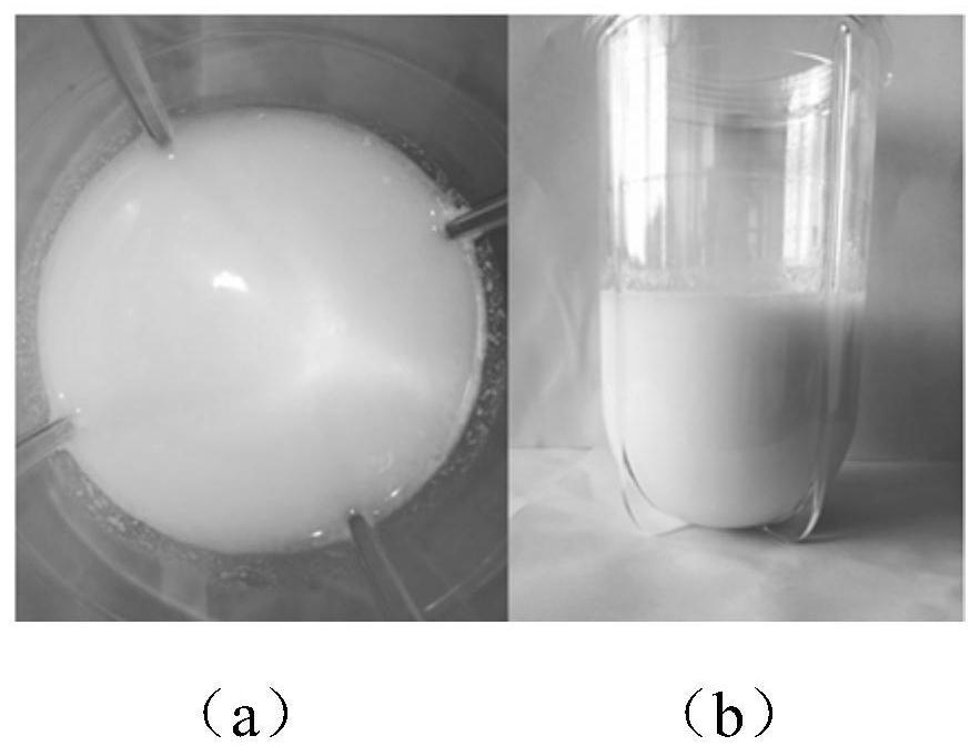 Plant-based probiotic yogurt and preparation method thereof