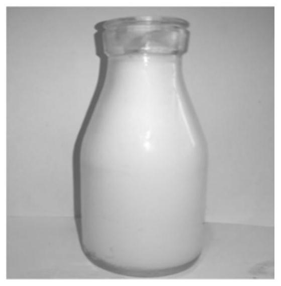 Plant-based probiotic yogurt and preparation method thereof
