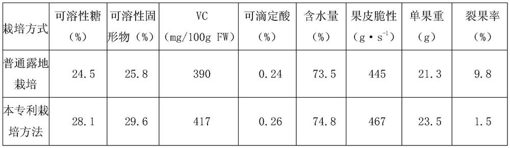 A kind of protected cultivation method of high-quality winter jujube