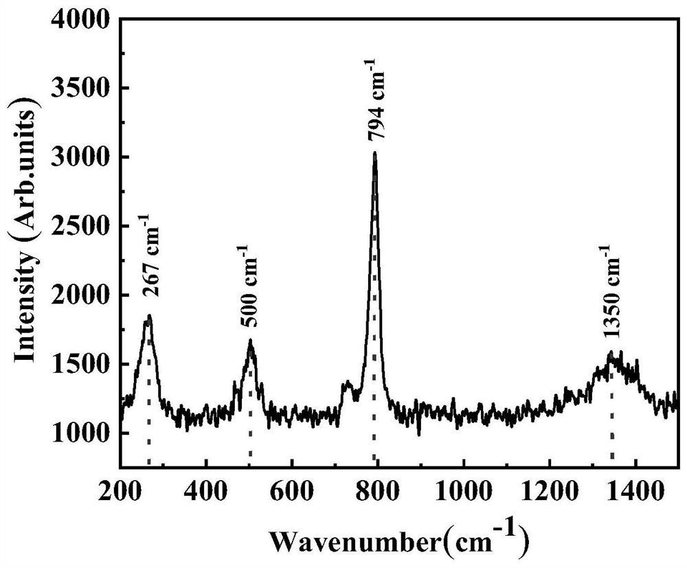Method for preparing uranium tetrafluoride by fluorinating U3O8 or UO3 at high temperature