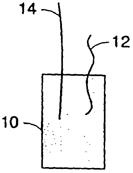 Electrodes for solid state gas sensor