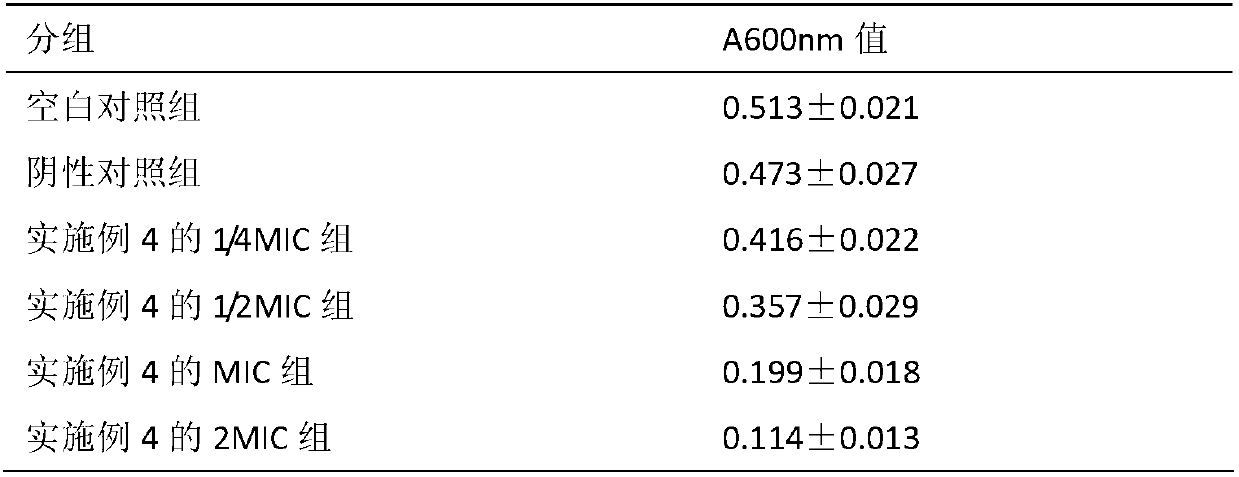 Application of green olive extract in preparation of drugs or food or daily necessities for preventing and curing gingivitis