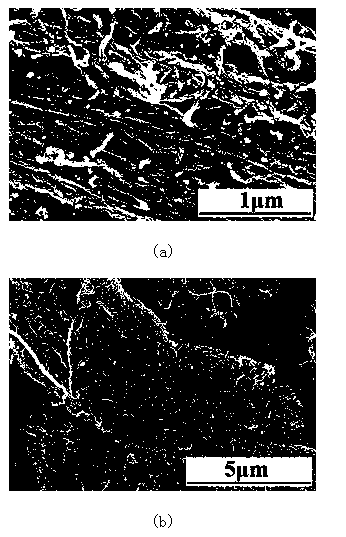 Modified oriented carbon nanometer carbon tube bundle and preparation method thereof