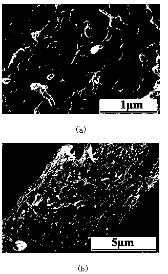 Modified oriented carbon nanometer carbon tube bundle and preparation method thereof