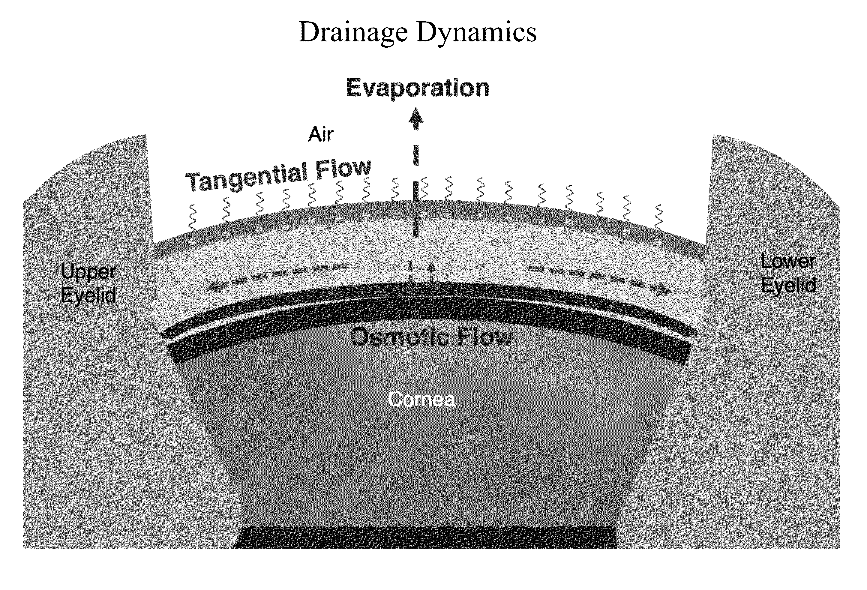 i-DDrop: interfacial dewetting and drainage optical platform