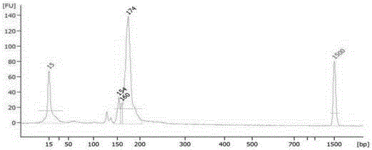 palb2 gene susceptibility SNP site detection composition