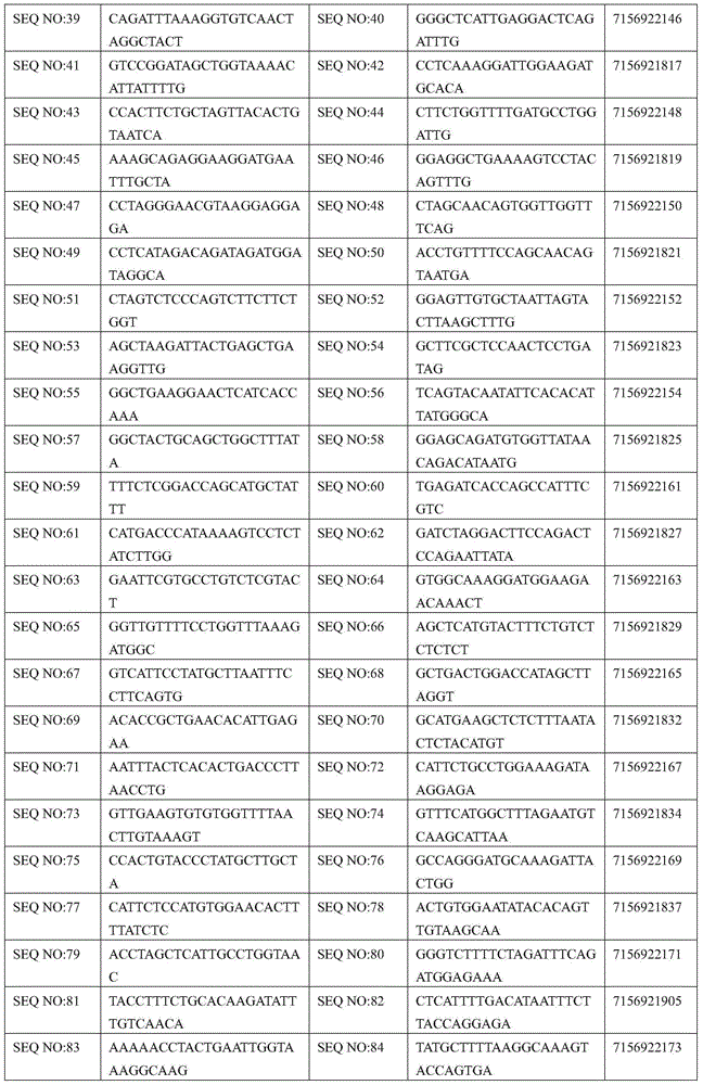 palb2 gene susceptibility SNP site detection composition