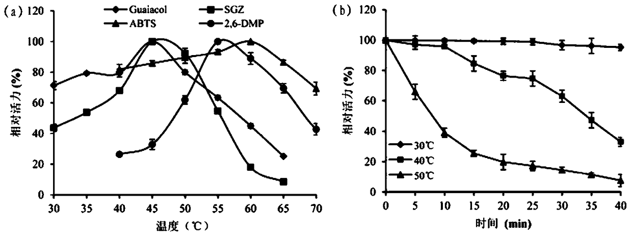 A kind of cocoa arbuscularis laccase and its engineering bacteria, recombinant laccase and application