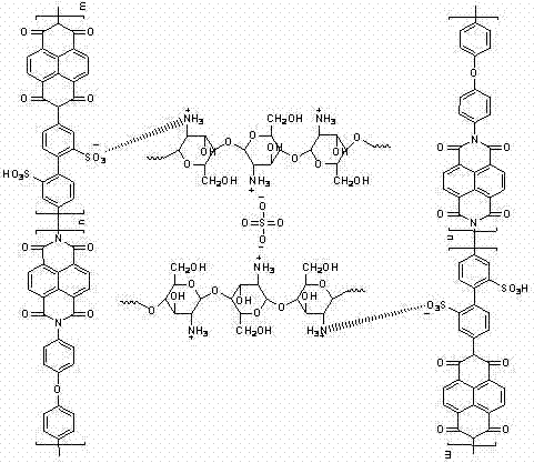 Preparation method of sulfonated polyimide/chitosan composite proton conducting film