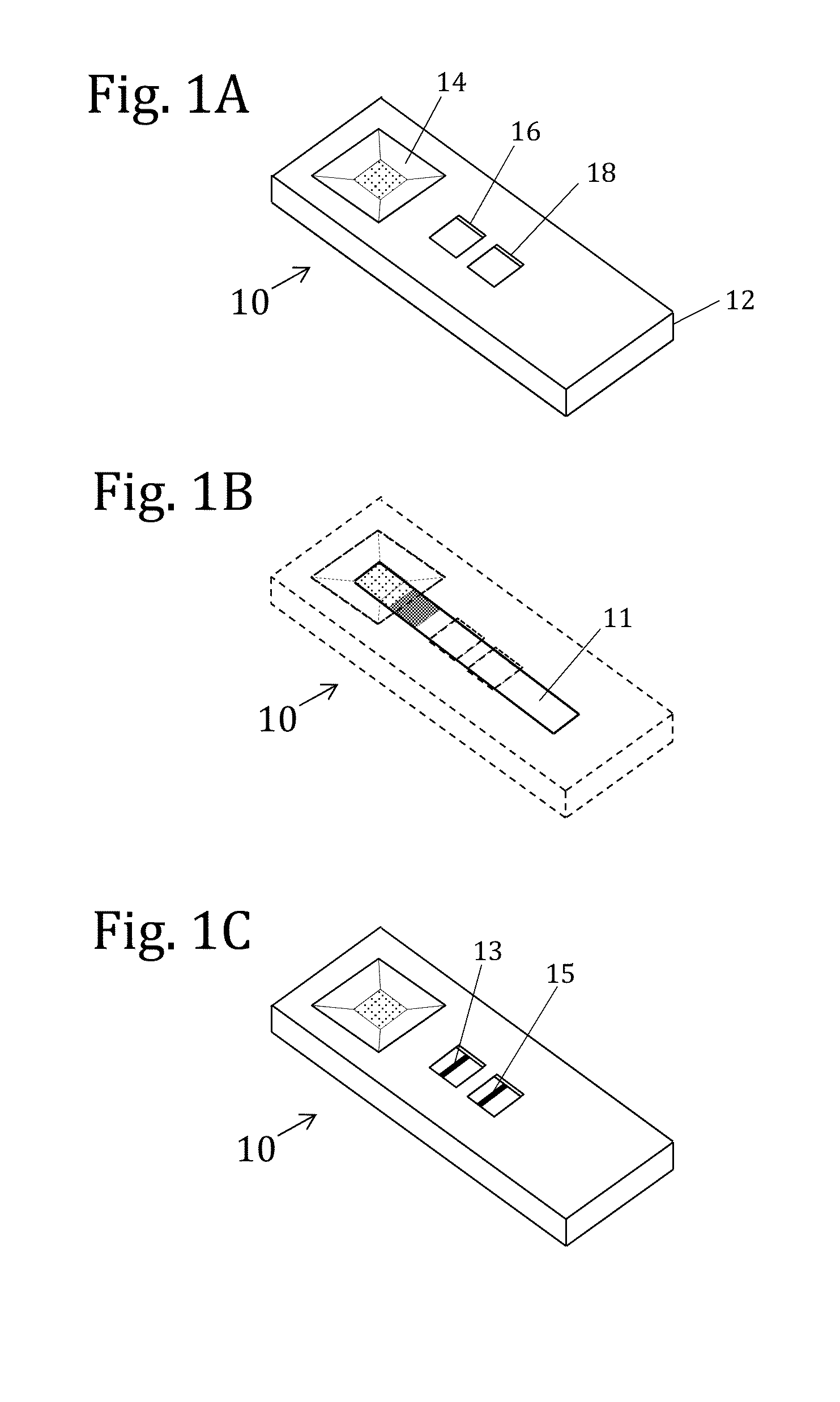 System and method for spatiotemporally analyzed rapid assays