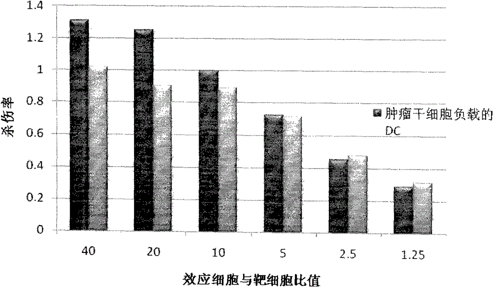 Dendritic cell (DC) tumor vaccine and preparation method thereof