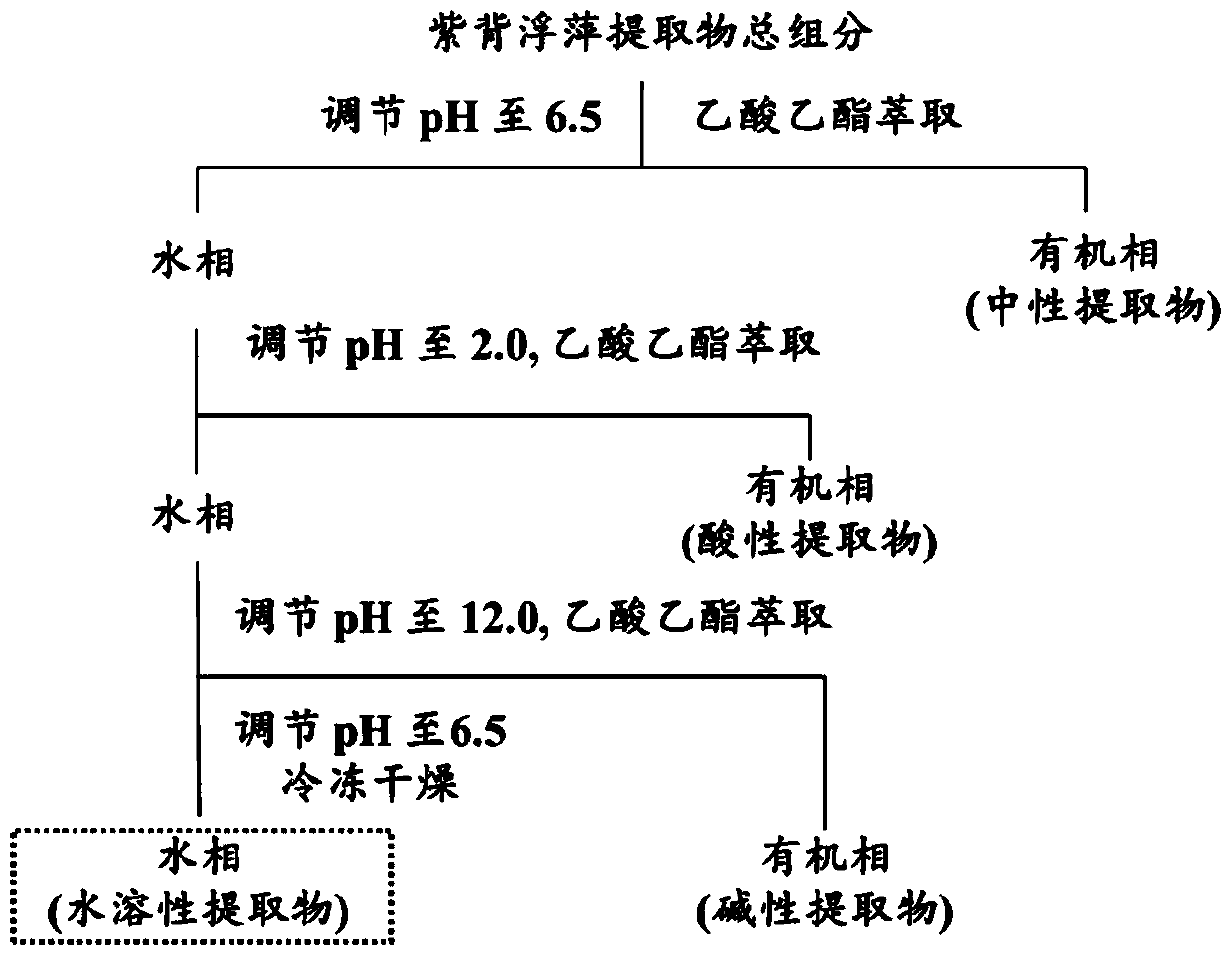 Application of Water-Soluble Extract of Duckweed in Promoting Denitrification Activity of Denitrifying Microorganisms