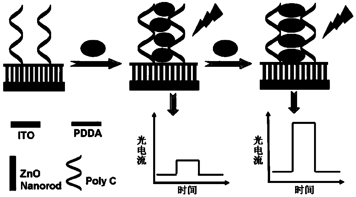 Photoelectrochemical method for detecting silver ions