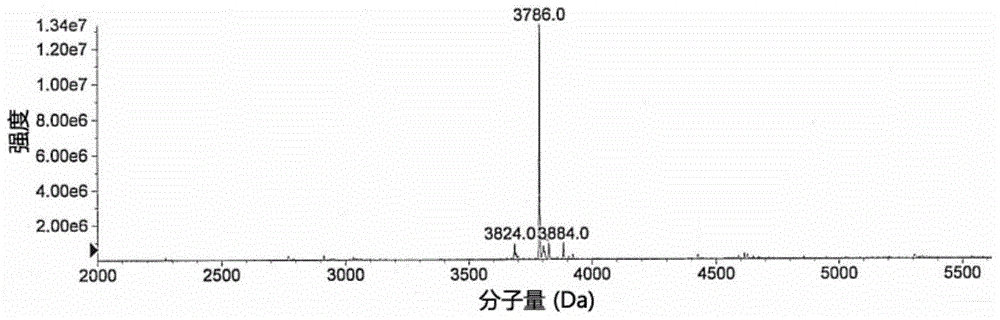 Gene recombinant tnf-α derivative rmp16 and its preparation method and application