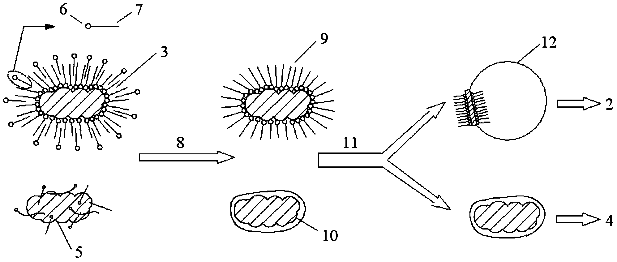 Method for measuring surface activation degree of modified powder material
