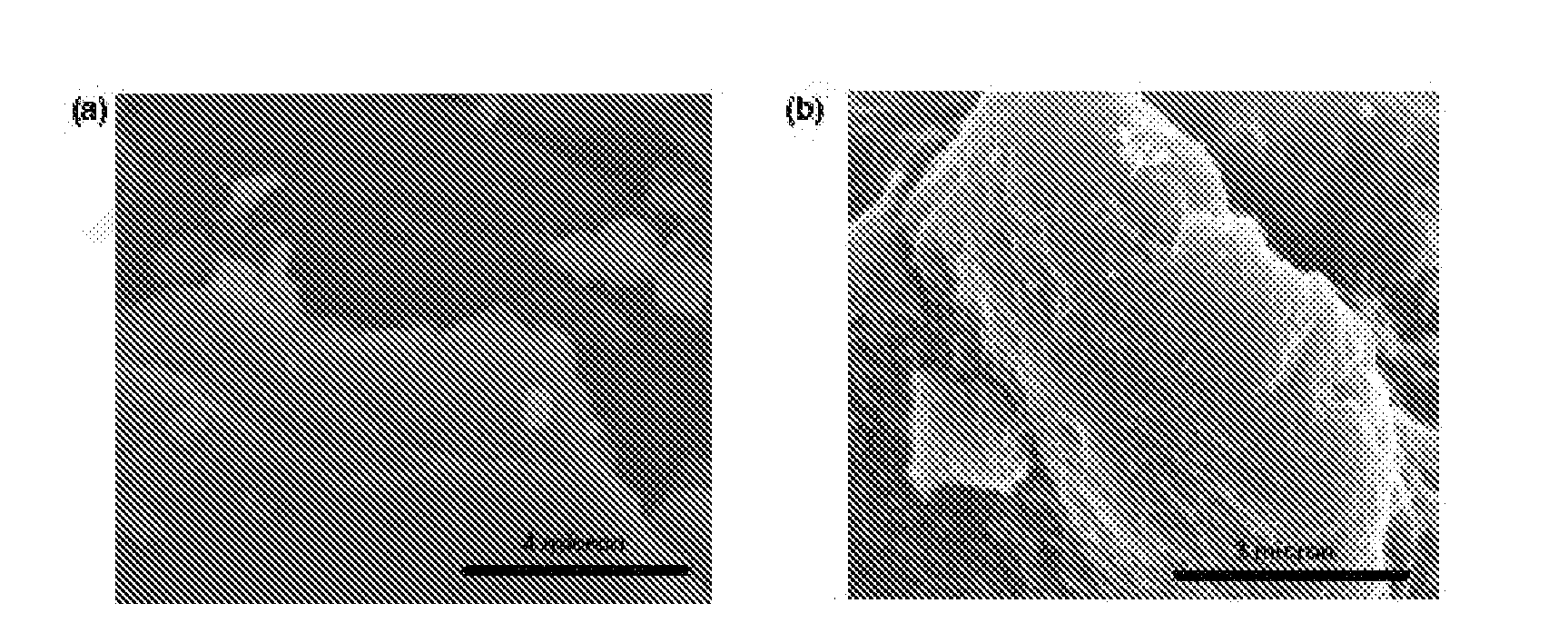 Synthesis of graphene sheets and nanoparticle composites comprising same