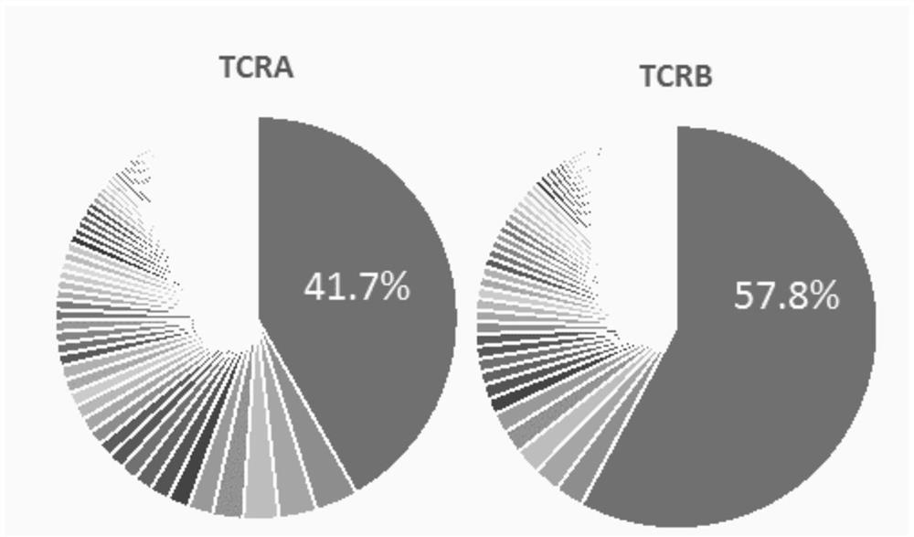 Method for establishing TCR-T cells targeting HPV16 related cervical cancer