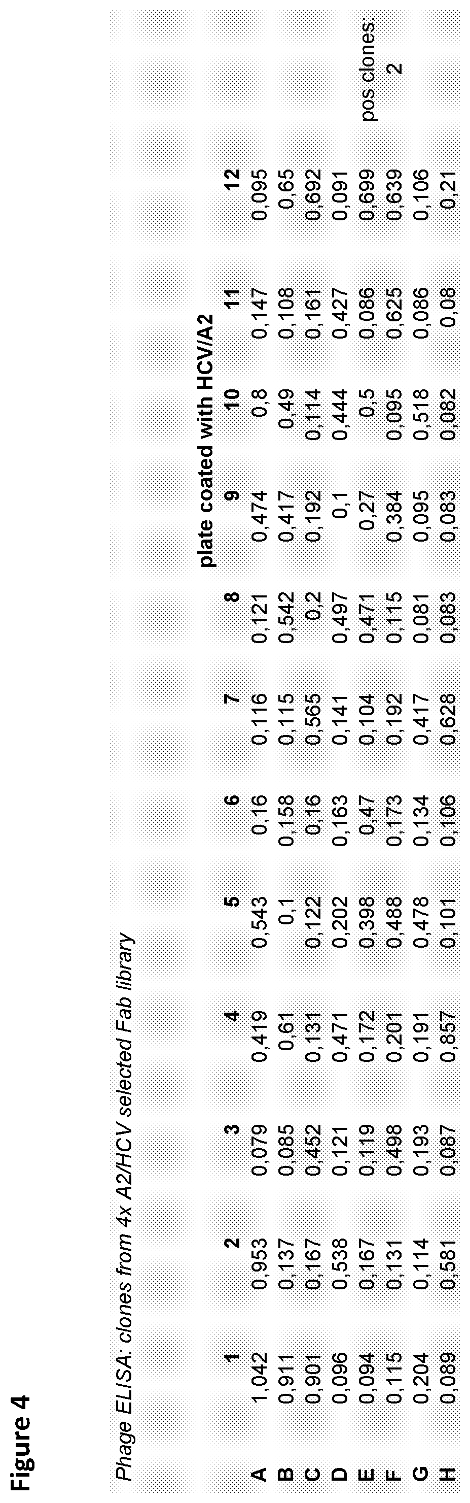 Binding molecules targeting pathogens