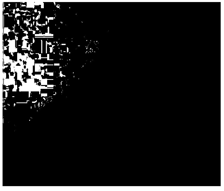 Preparation method of stasis-phlegm type ovarian cyst animal model