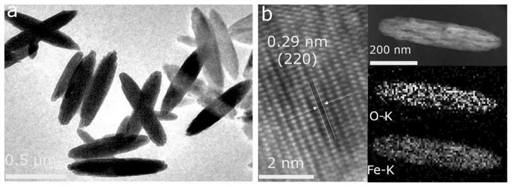 A fe that can be used for magnetic hyperthermia  <sub>3</sub> o  <sub>4</sub> Preparation method of nanorod material