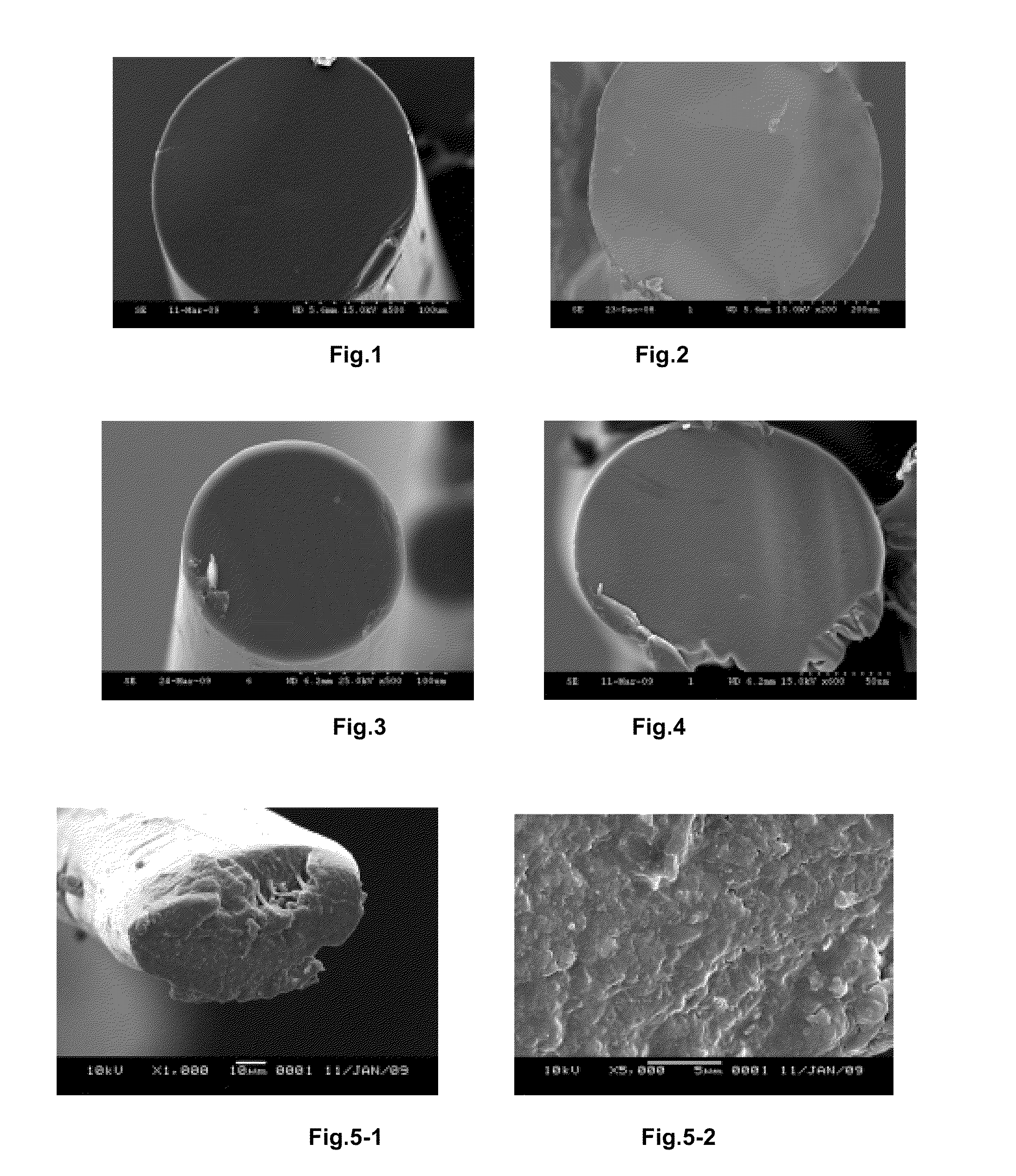Process of melt-spinning polyacrylonitrile fiber