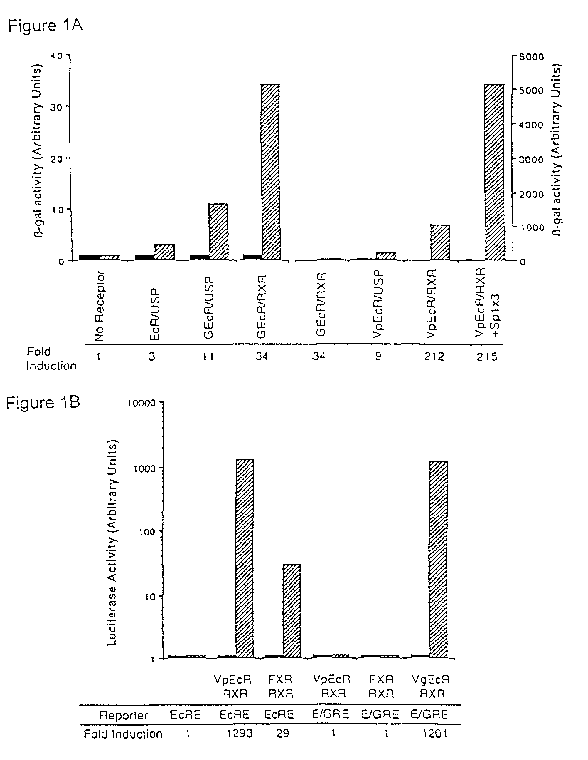 Methods for modulating expression of exogenous genes in mammalian systems