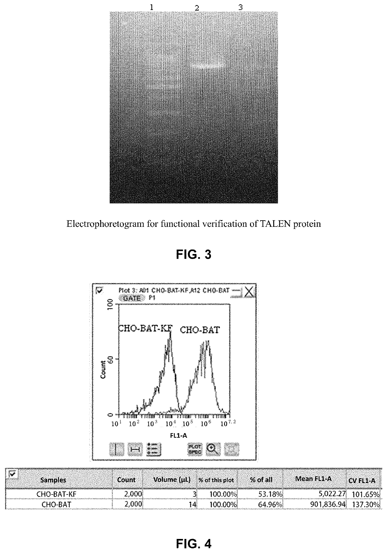 Recombinant antibody having unique glycan profile produced by CHO host cell with edited genome and preparation method thereof