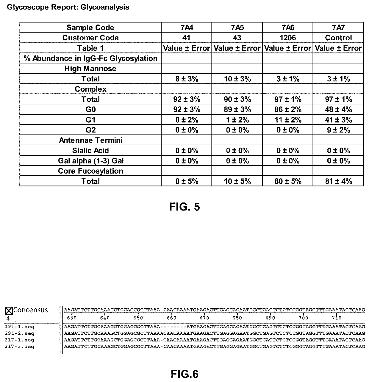 Recombinant antibody having unique glycan profile produced by CHO host cell with edited genome and preparation method thereof