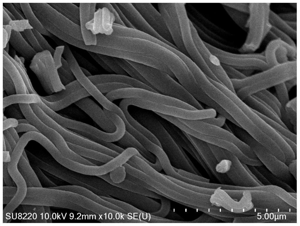 Microporous carbon fiber material prepared from polyacrylonitrile and used for high-selectivity separation of various micromolecular gases, and preparation method and application of microporous carbon fiber material