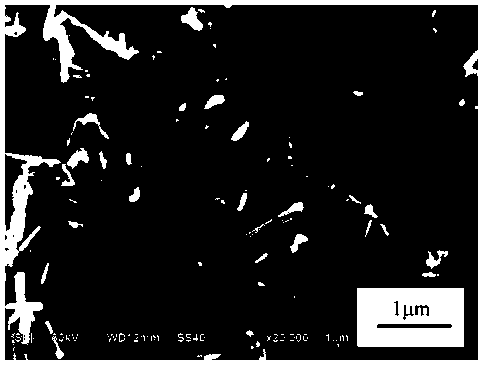 Preparation method of graphene-antimony sulfide nanorod composite visible light catalyst