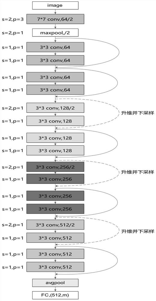 Dermoscope image retrieval method based on Cauchy anti-rotation loss function