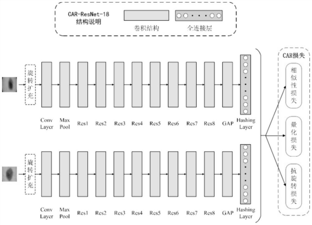 Dermoscope image retrieval method based on Cauchy anti-rotation loss function