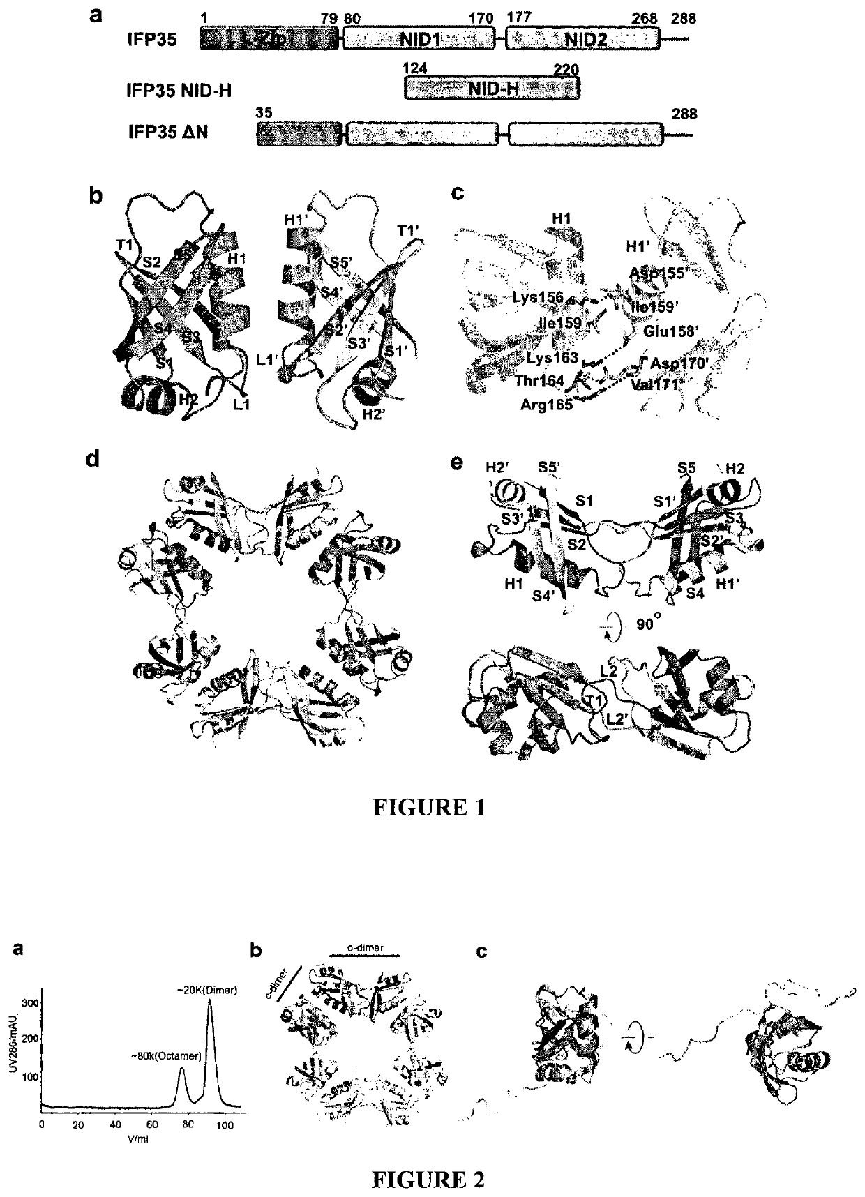 Methods and compositions for treating and/or preventing a disease or disorder associated with abnormal level and/or activity of the IFP35 family of proteins