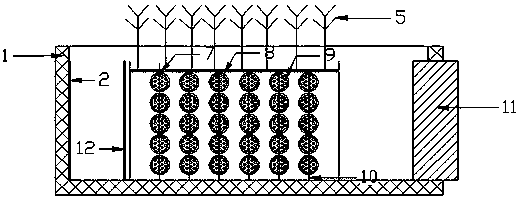 Compound deep purification ecological floating bed with external carbon source and purification treatment method thereof