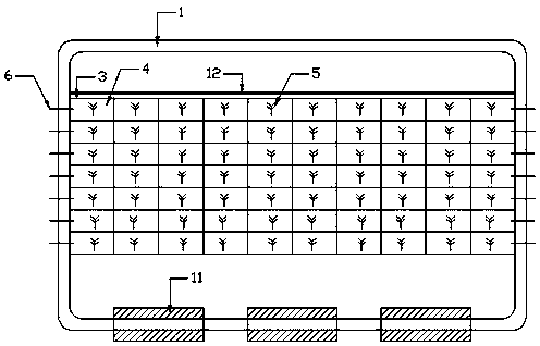 Compound deep purification ecological floating bed with external carbon source and purification treatment method thereof