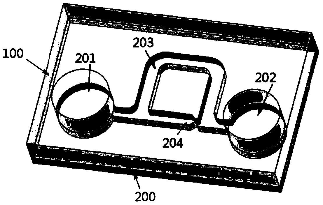 Microfluidic devices for single cell capture and three-dimensional rotation