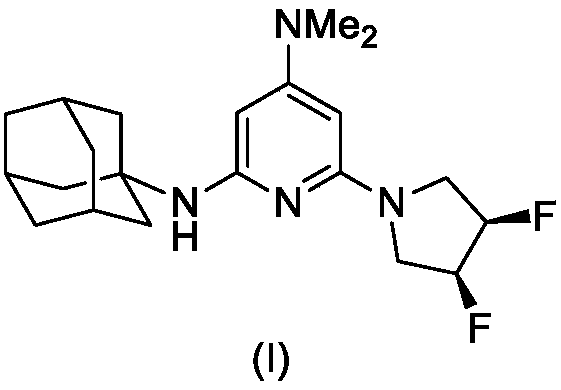 Adamantane and dimethylamine pyridine structure-containing derivative, preparation method and application of derivative