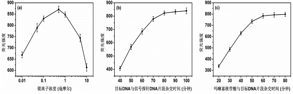 High-sensitivity DNA fluorescent analysis method based onmorpholine oligonucleotide functionalized magnetic microballoon