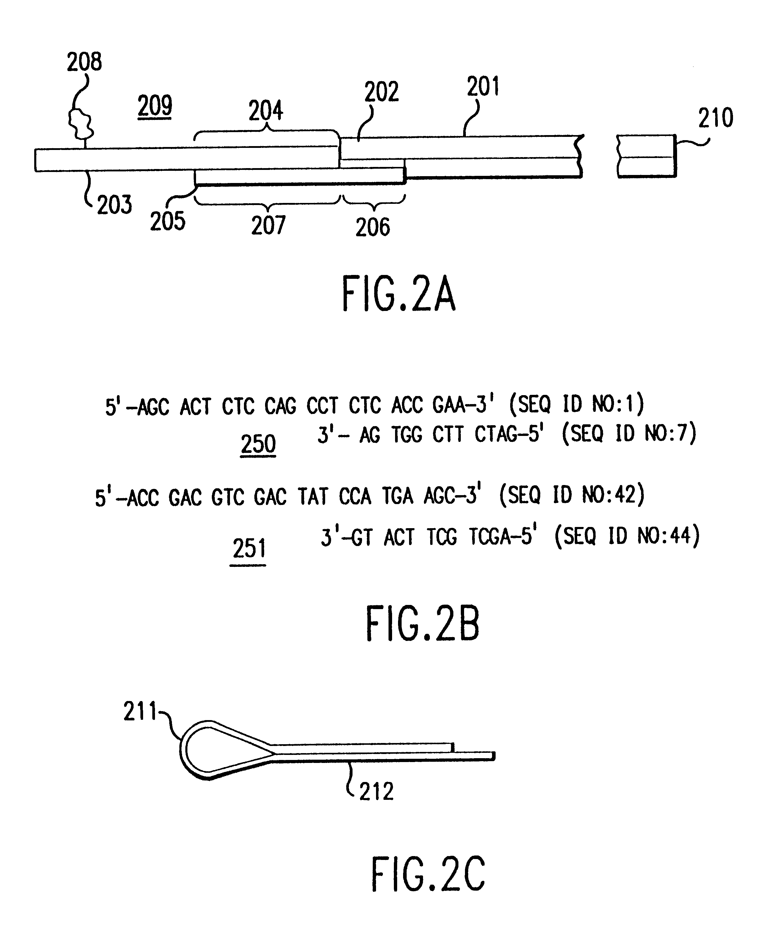Method and apparatus for identifying, classifying, or quantifying protein sequences in a sample without sequencing
