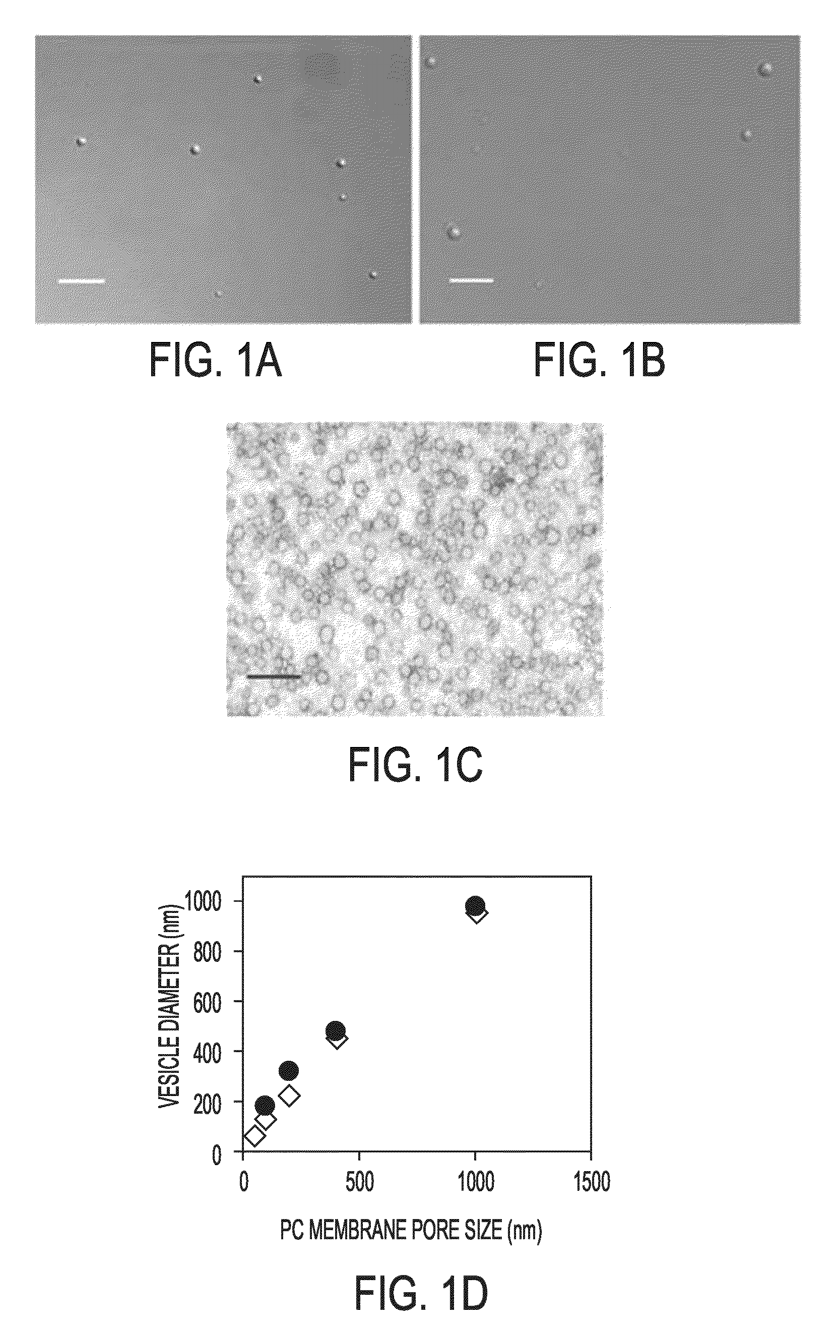 Copolymer-stabilized emulsions