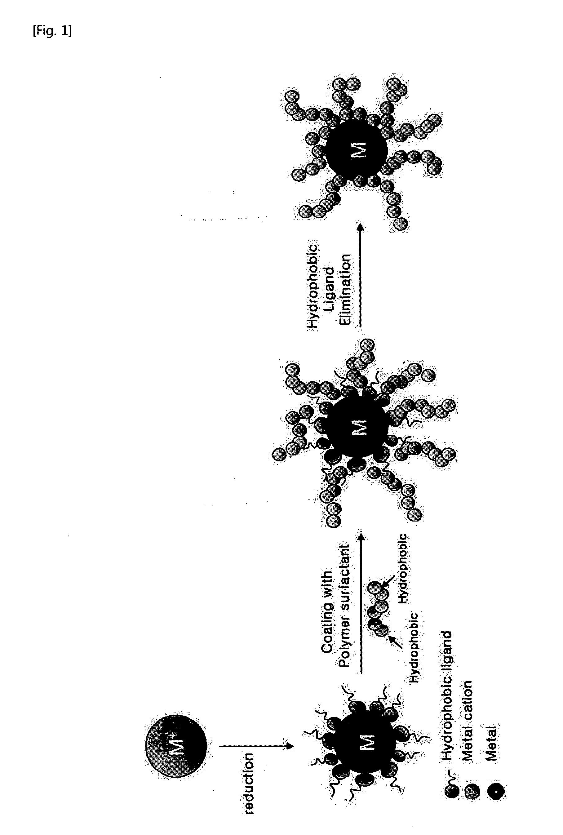 Method for Preparing Water-Soluble Nanoparticles and Their Dispersions