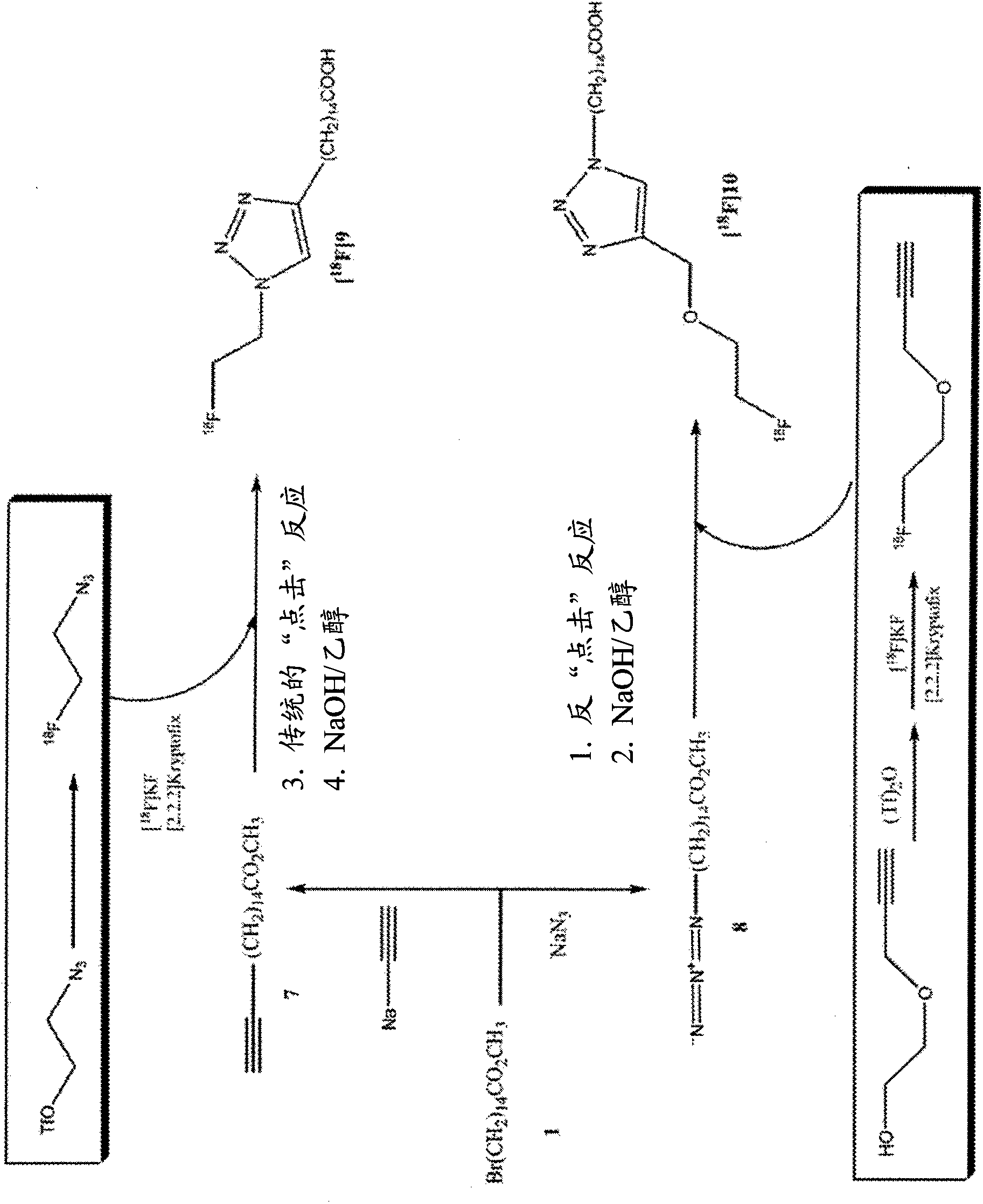 Pet radiotracers for imaging fatty acid metablolism and storage