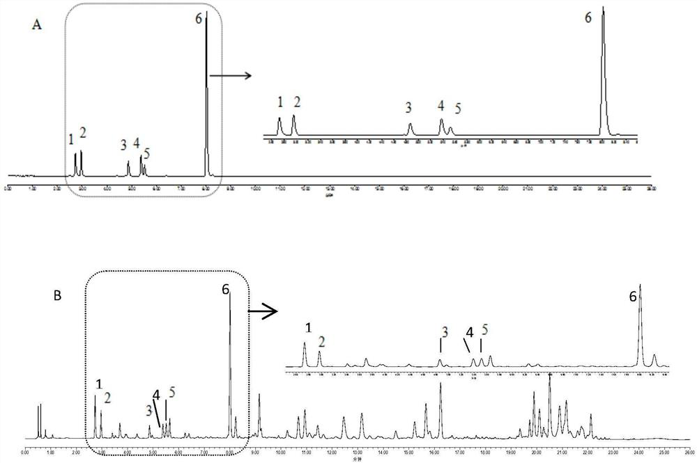 A kind of Polygala uplc assay method