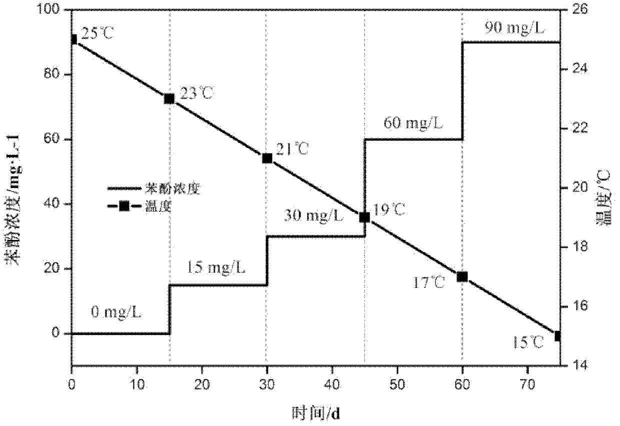 Phenol inhibition-coupled low temperature short-cut denitrification method