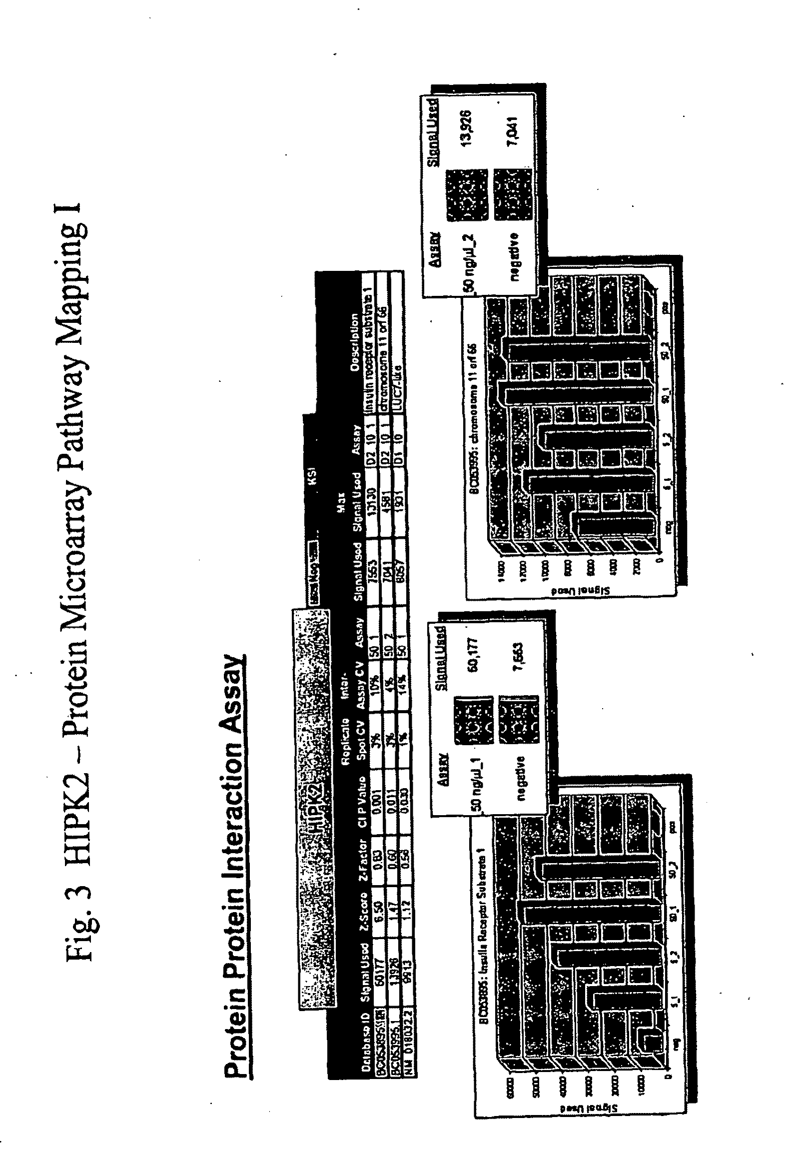 Mitotic Progression Genes and Methods of Modulating Mitosis